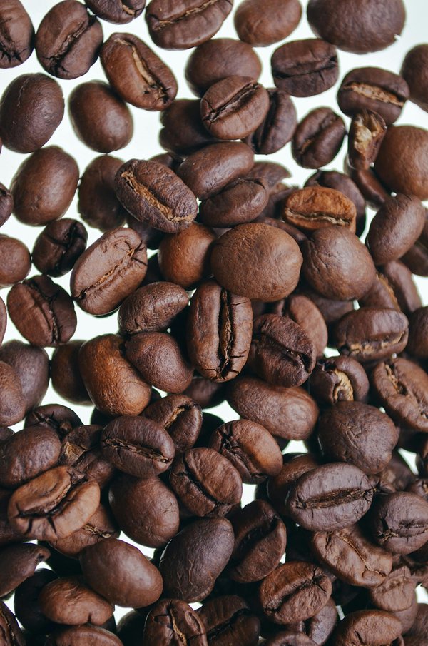 Savor quality and savings with wholesale coffee beans today